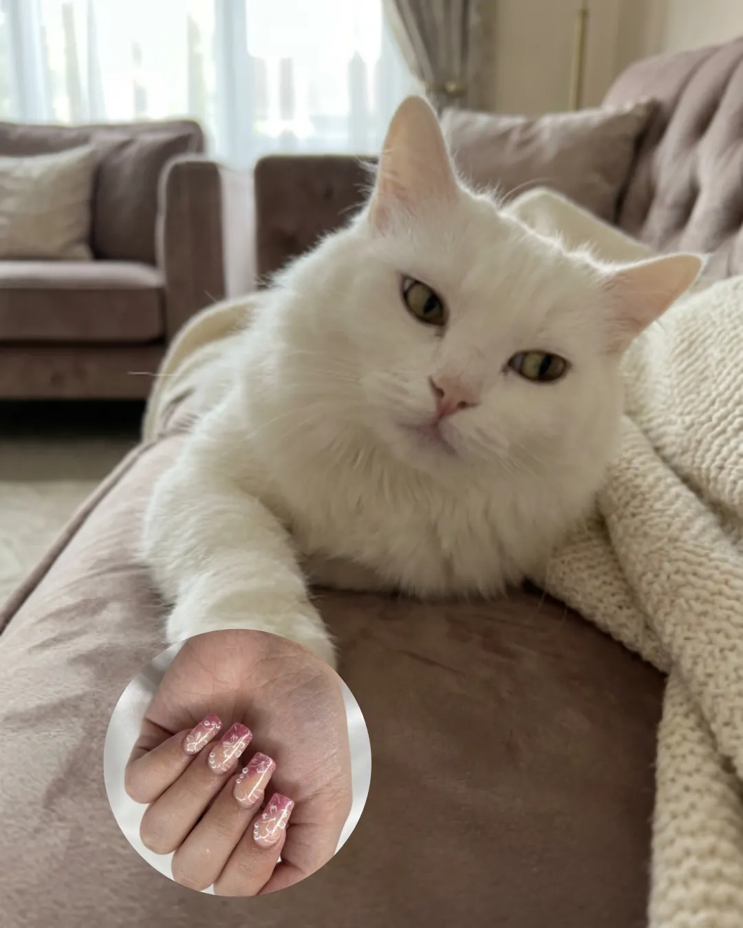 nail beauty 1