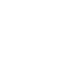 Google icon
