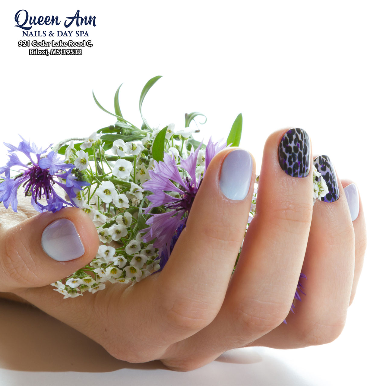 Our gallery | Queen Ann Nails & Day Spa | Biloxi, MS 39532