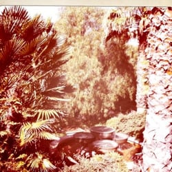 alt image