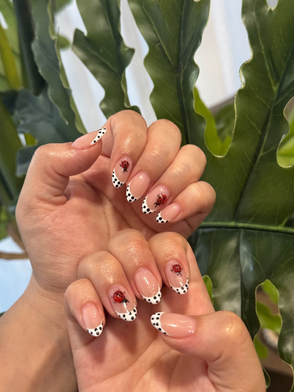 Nail Design Collection