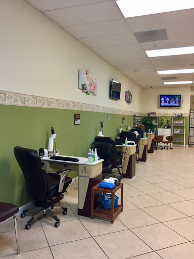 salon photo
