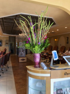 Salon photo