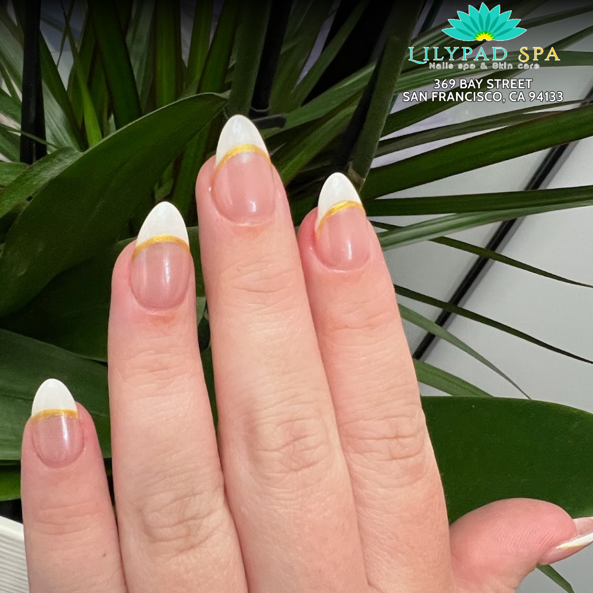 Lilypad Spa