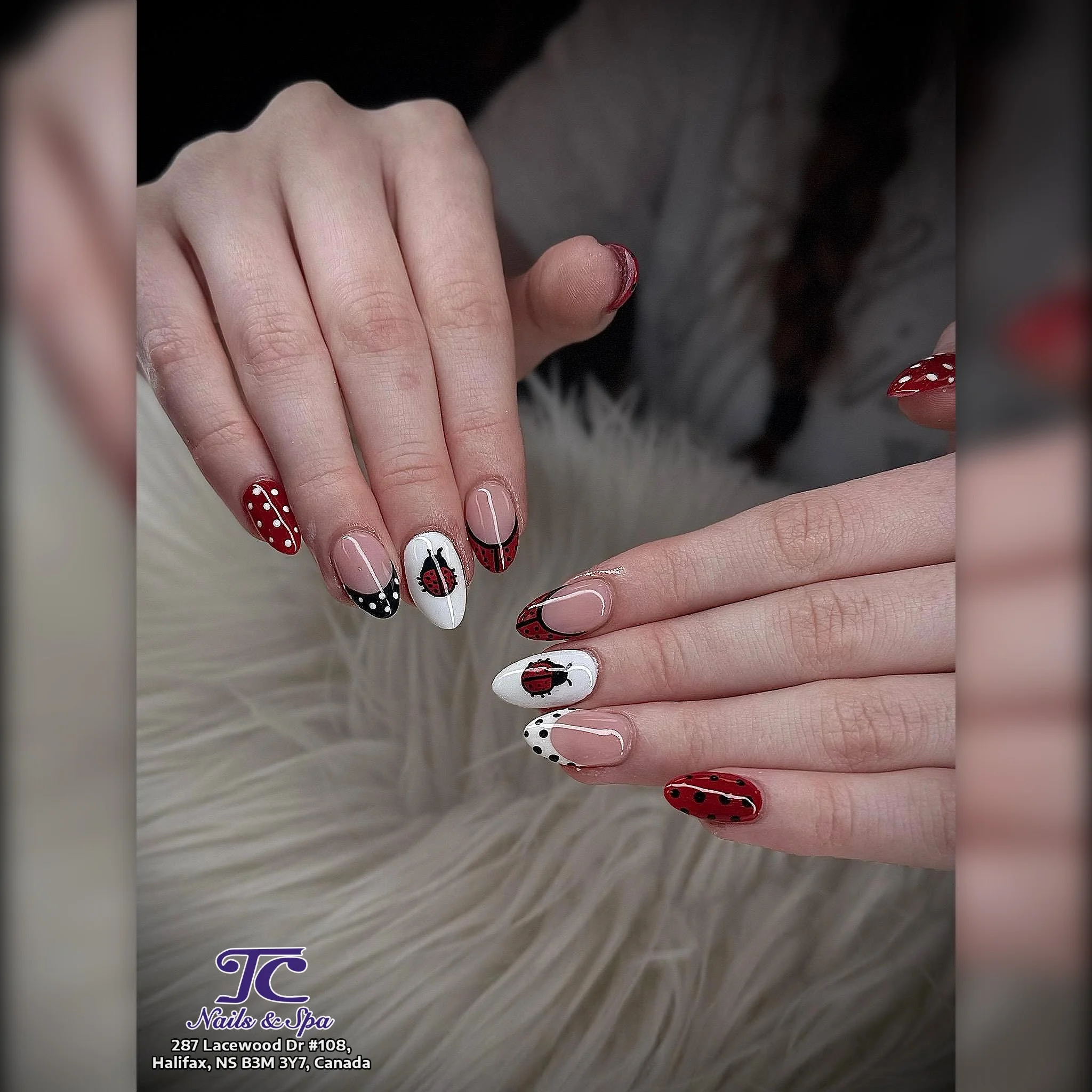 TC Nails & Spa