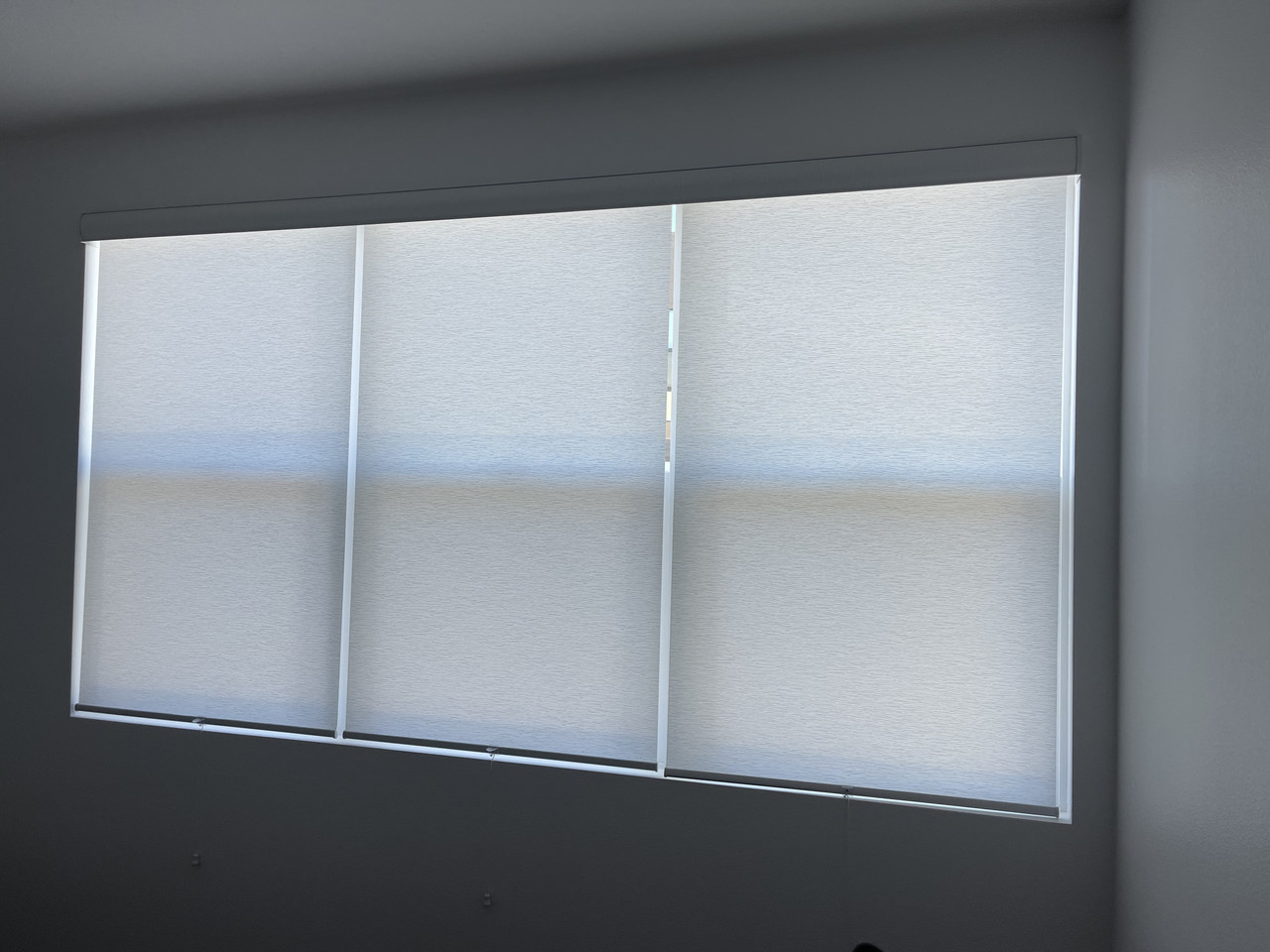 Light Filter