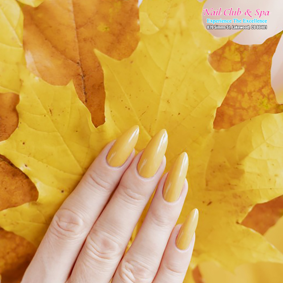 Nail-Club-Spa-in-Lakewood-CO-80401_4