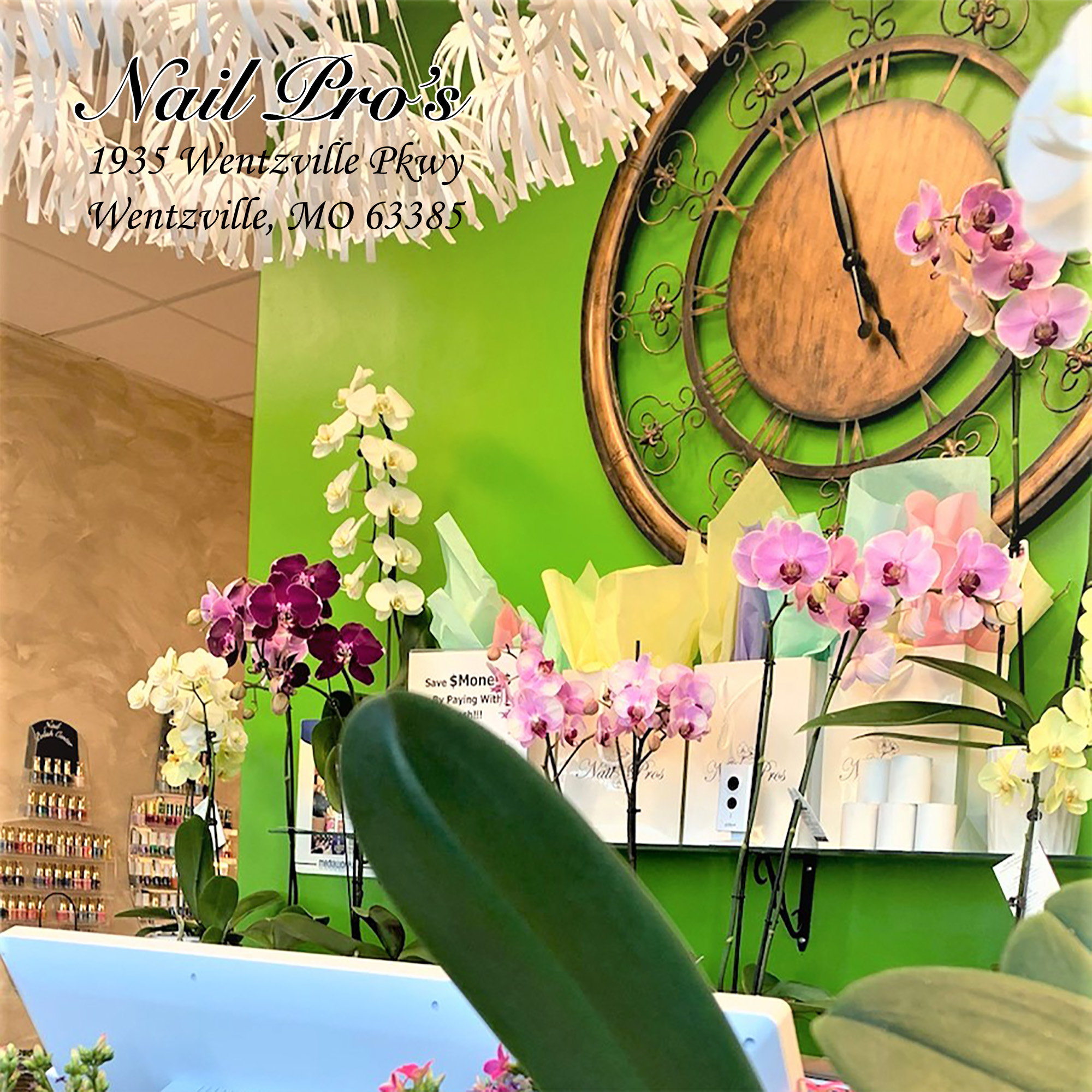 Nails Salon