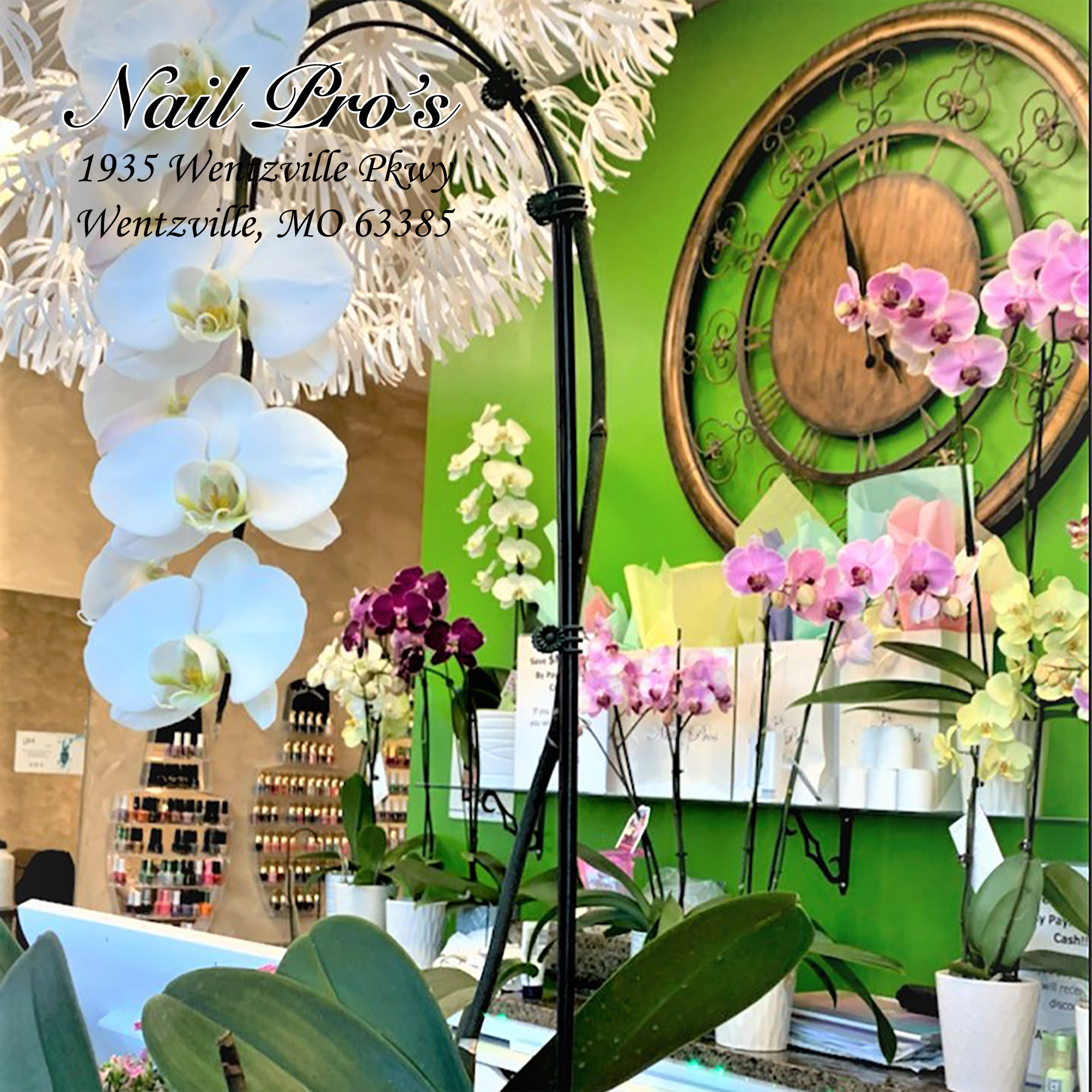 Nails Salon