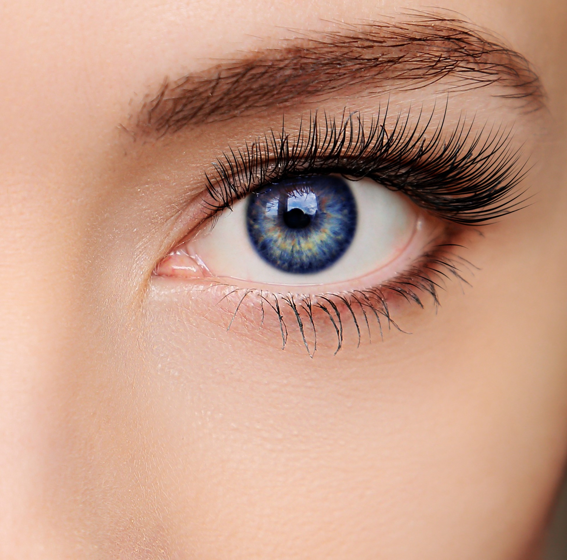 Eyelash