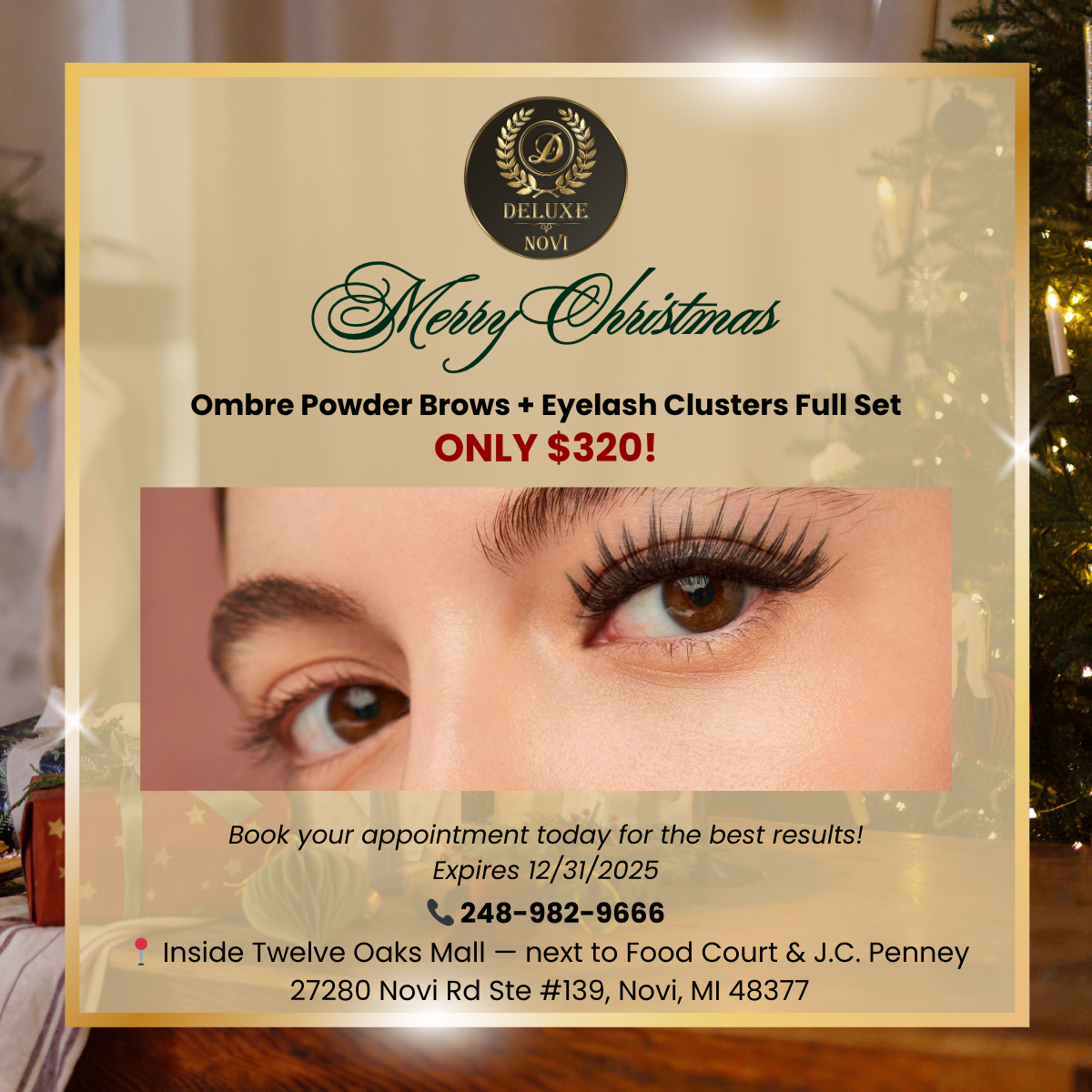 Ombre Powder Brows + Eyelash Clusters Full Set — Only $320