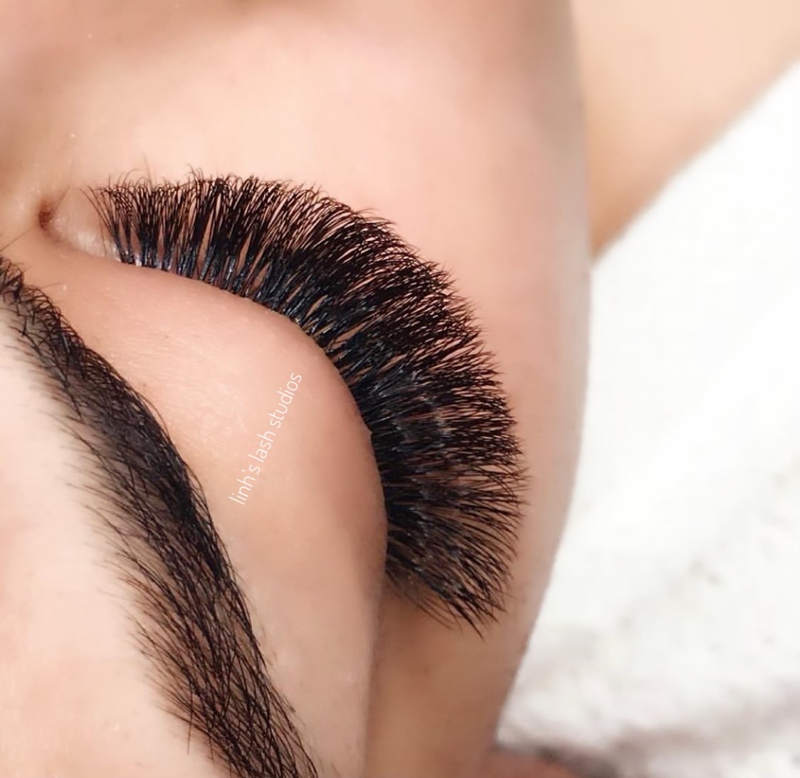 Lash Art 84003
