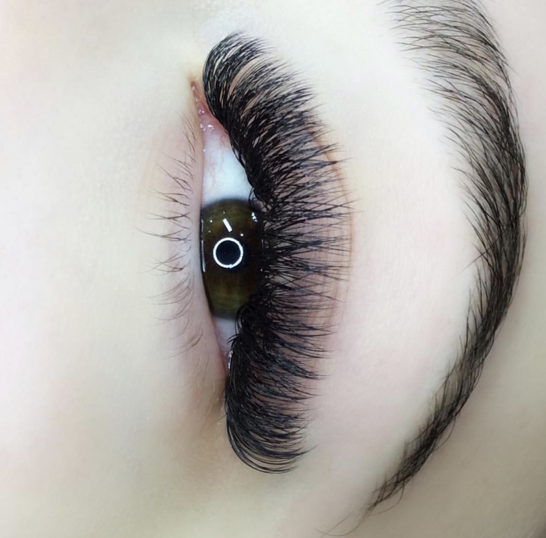 Lash Art 84003