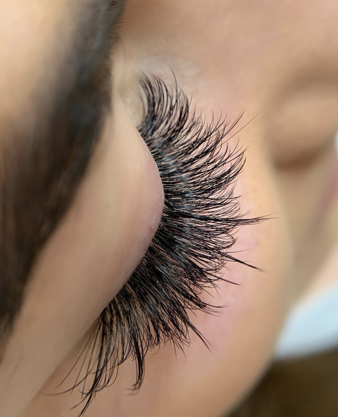 Lash Art 84003