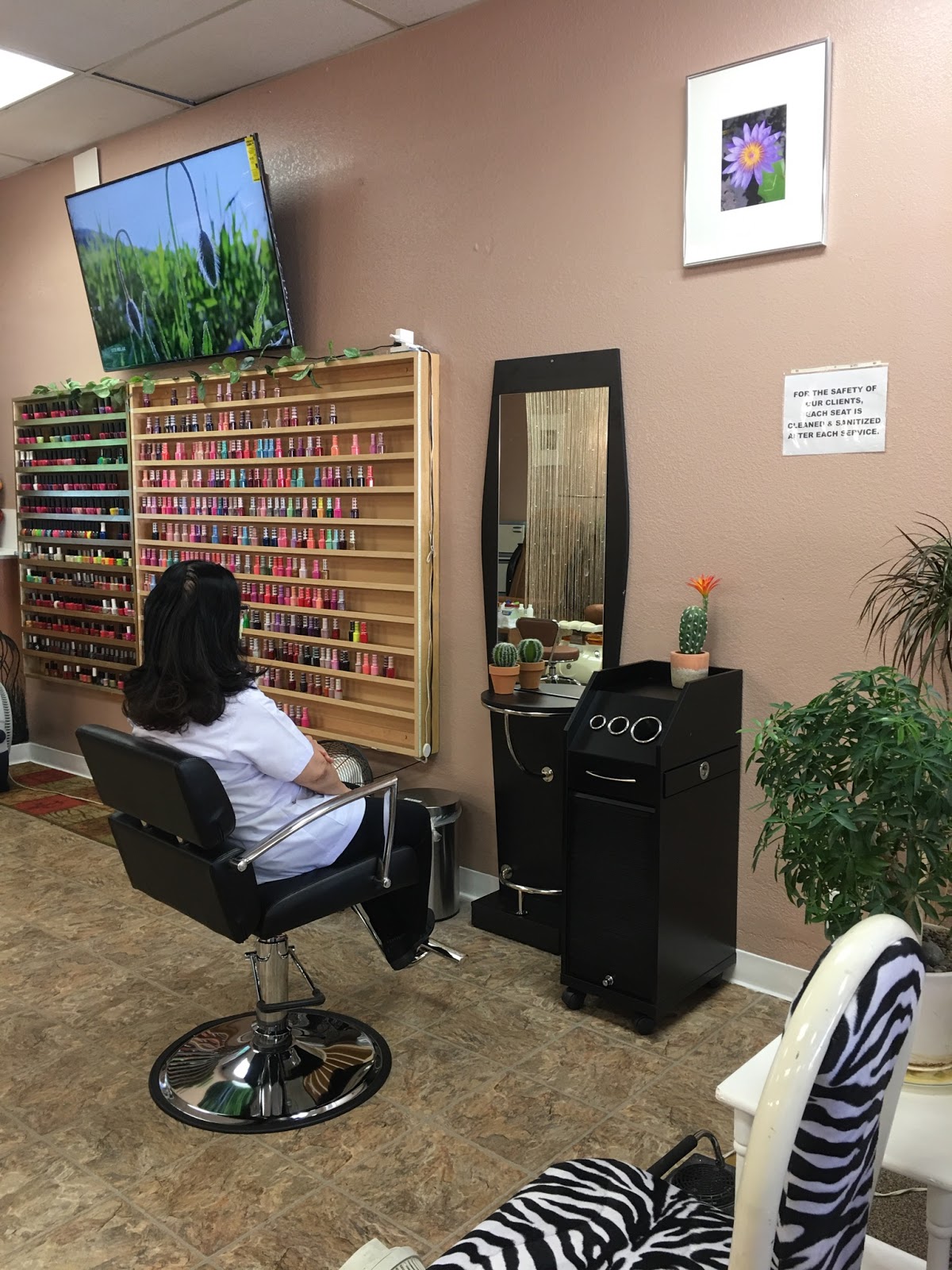 Hair Design