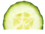 Cucumber Fresh