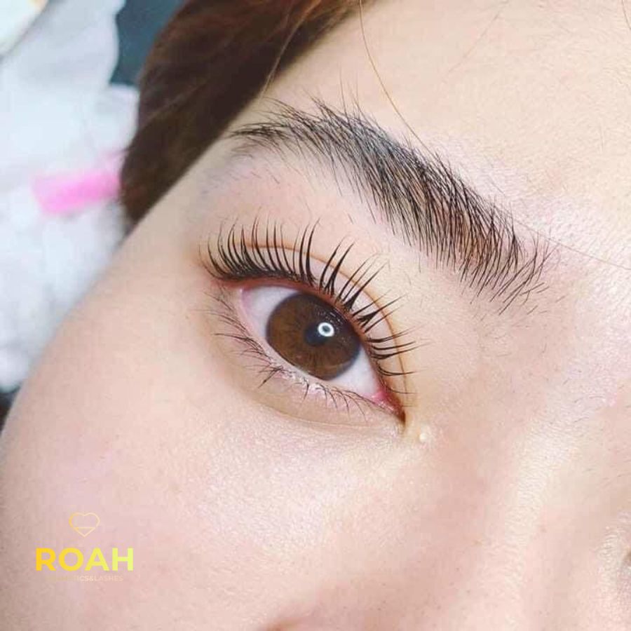 Eyelash Extentions at Roah Cosmetics and Lashes