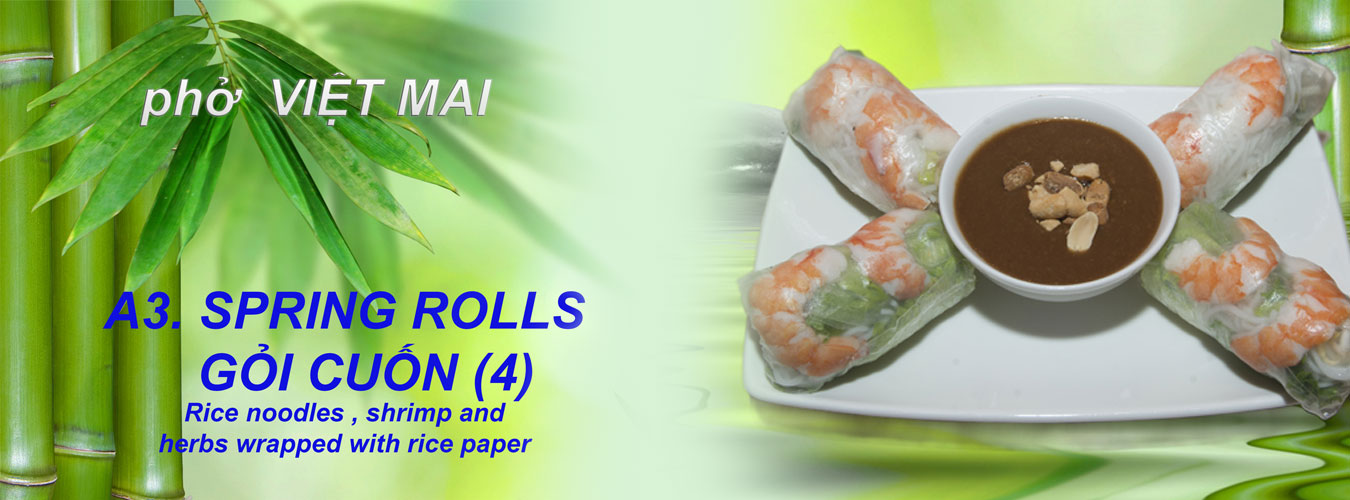 Nail Homepage 4