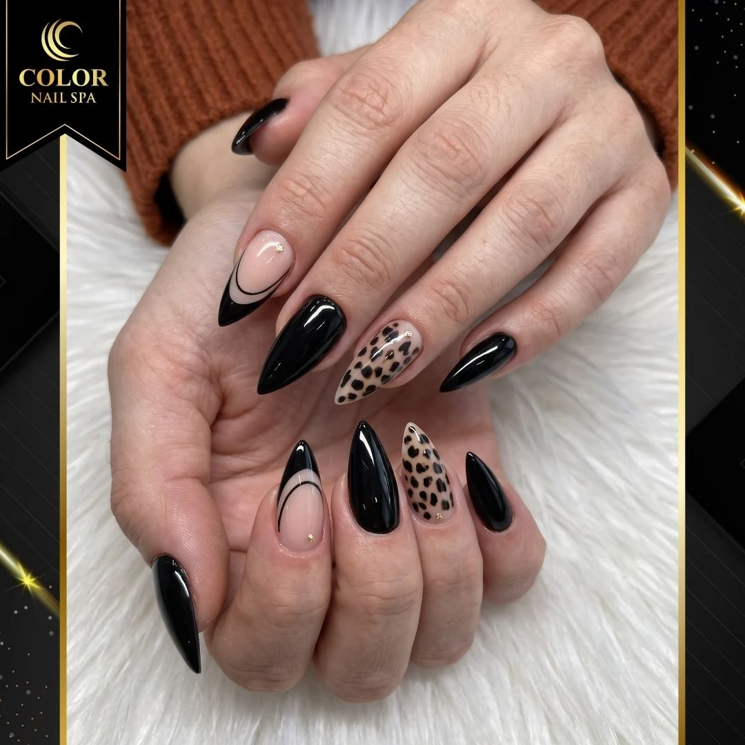 Color Nail Salon & Spa
