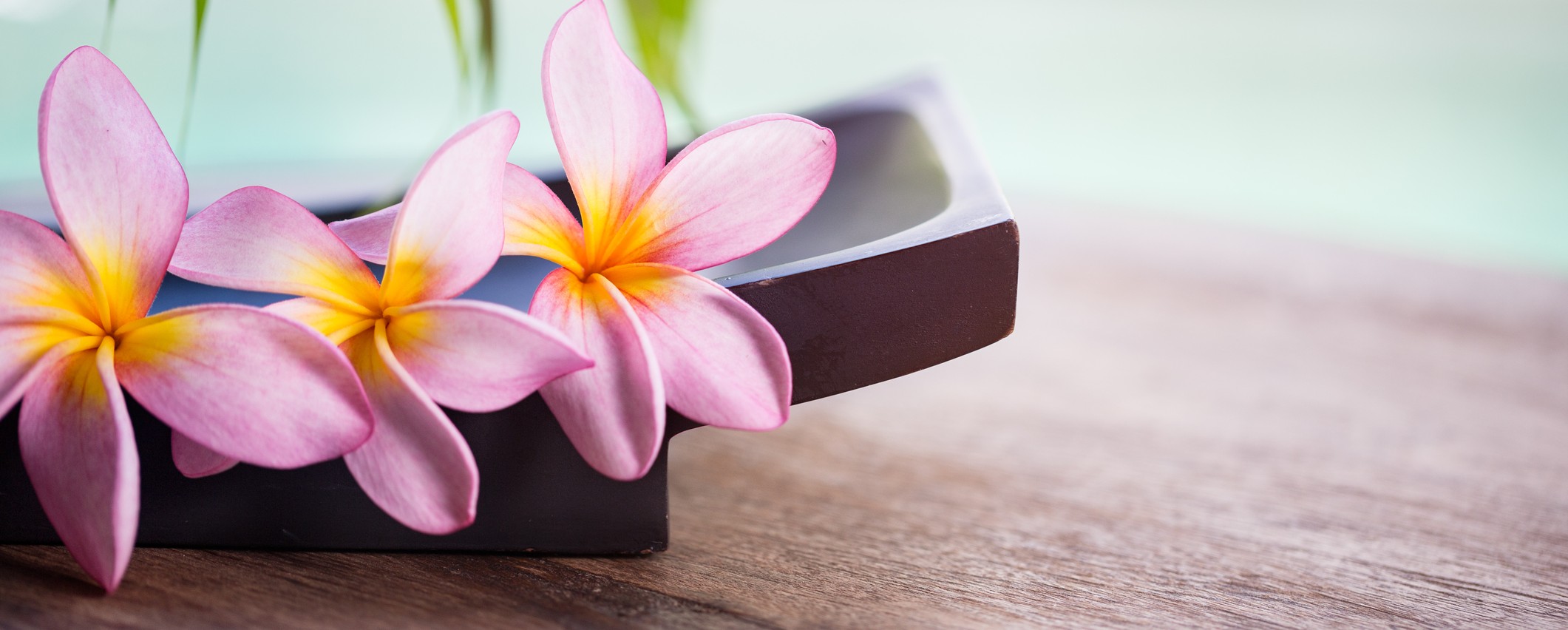 Aloha Nails and Spa Salon in Clemson and Seneca, SC 29678