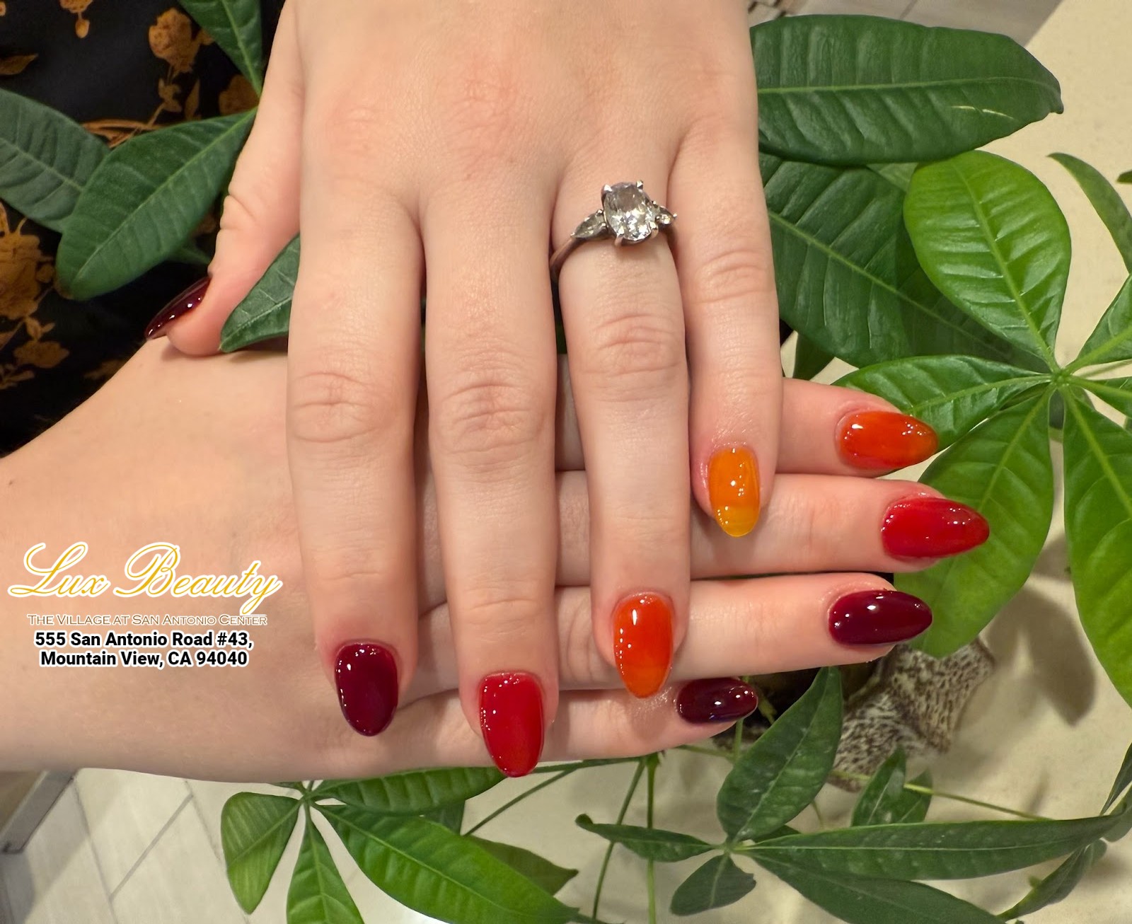 Lux Beauty Nail Care 201125 (3)