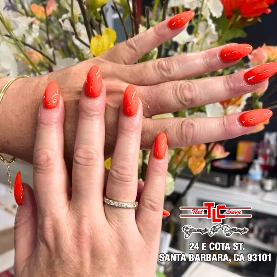 TLC Nail Lounge 16092025 (5)