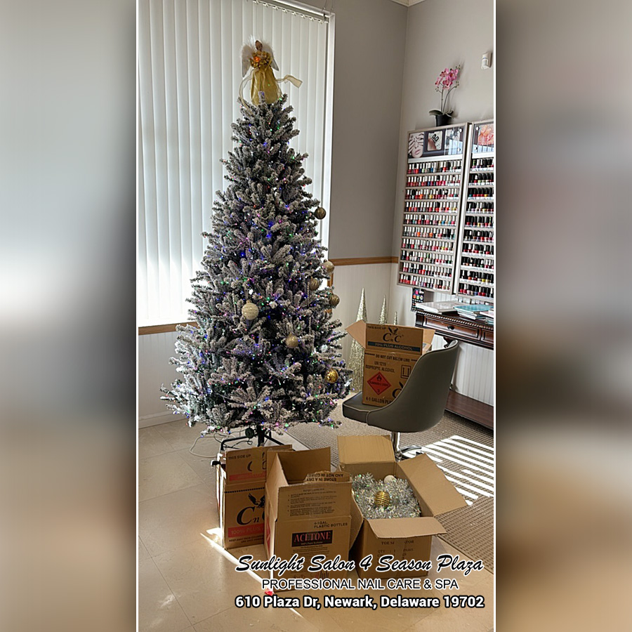 Sunlight-Salon-Four-Season-Plaza-610-Plaza-Drive-Newark-Delaware-19702_2