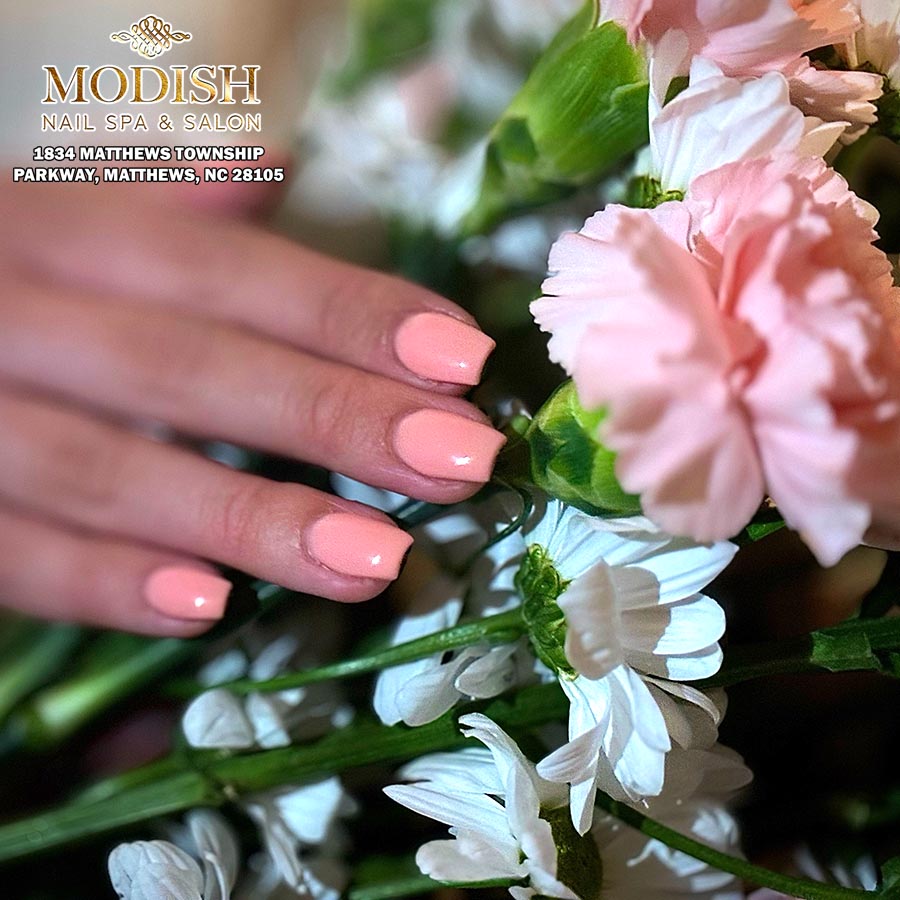 Modish Nail Spa &amp; Salon