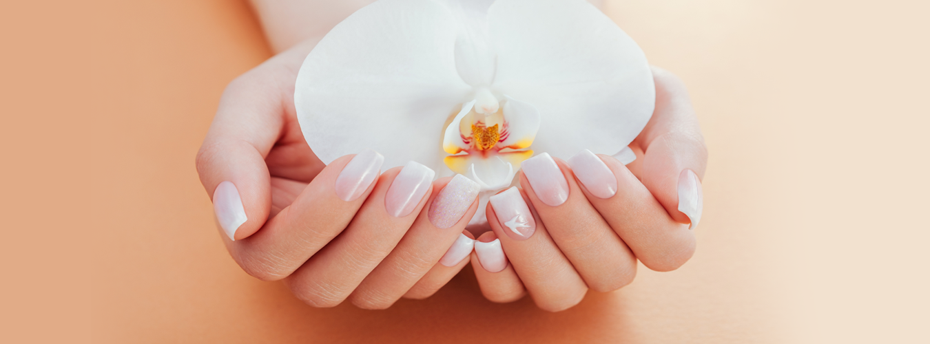 Nail Homepage 3