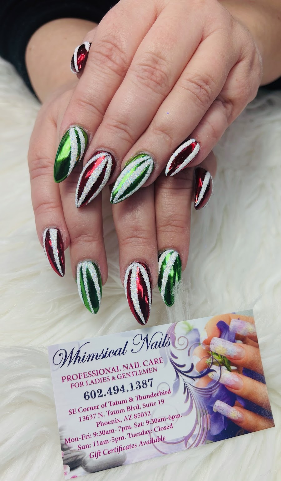 Whimsical Nails 151225 (1)