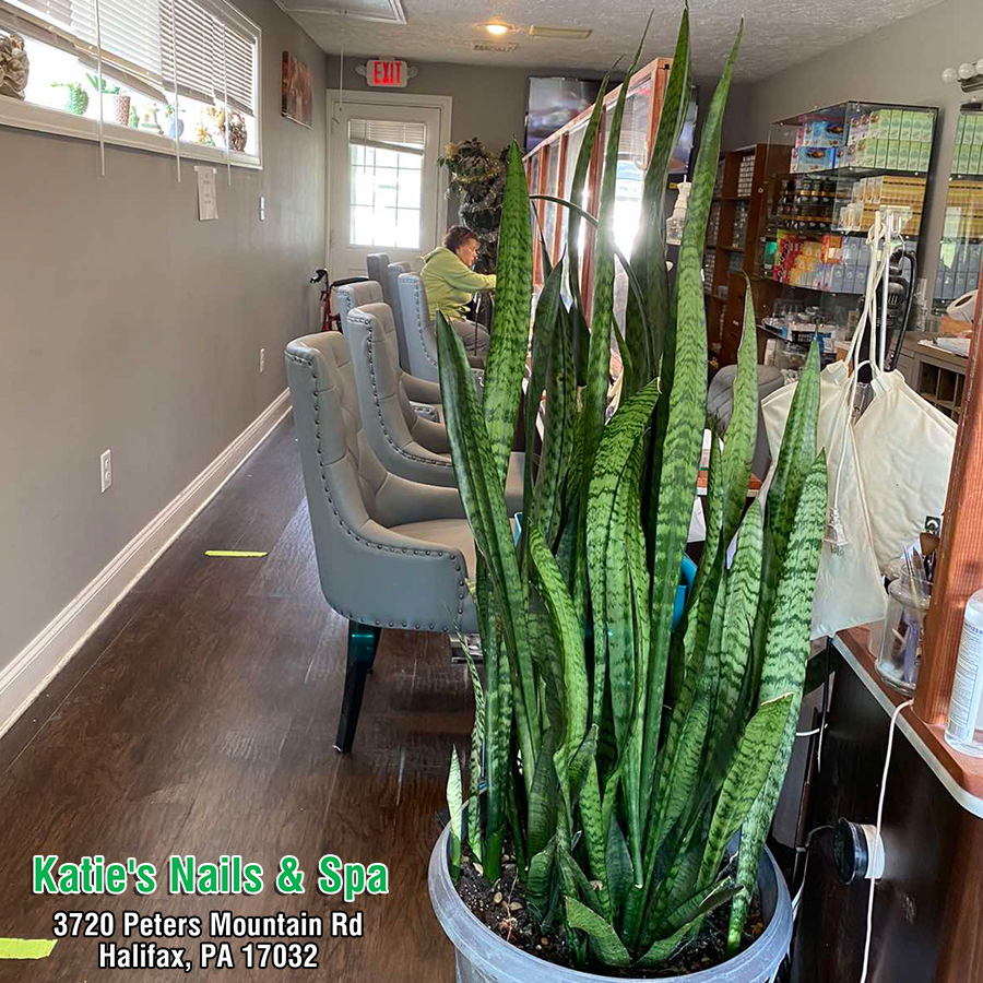 Katie's Nails & Spa in Halifax, PA 17032